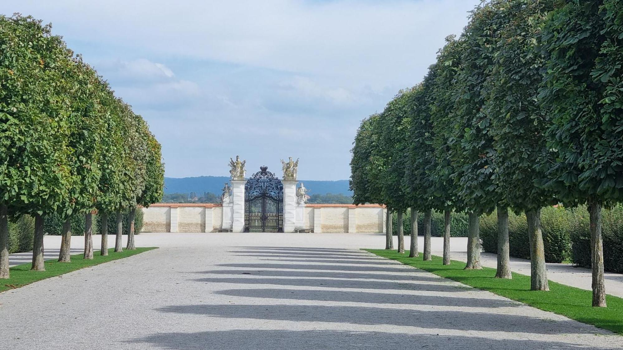 Birkenhof Gols - B & B - Wohlfuehl Hotel Mit Wochenend-Restaurant Luaran gambar