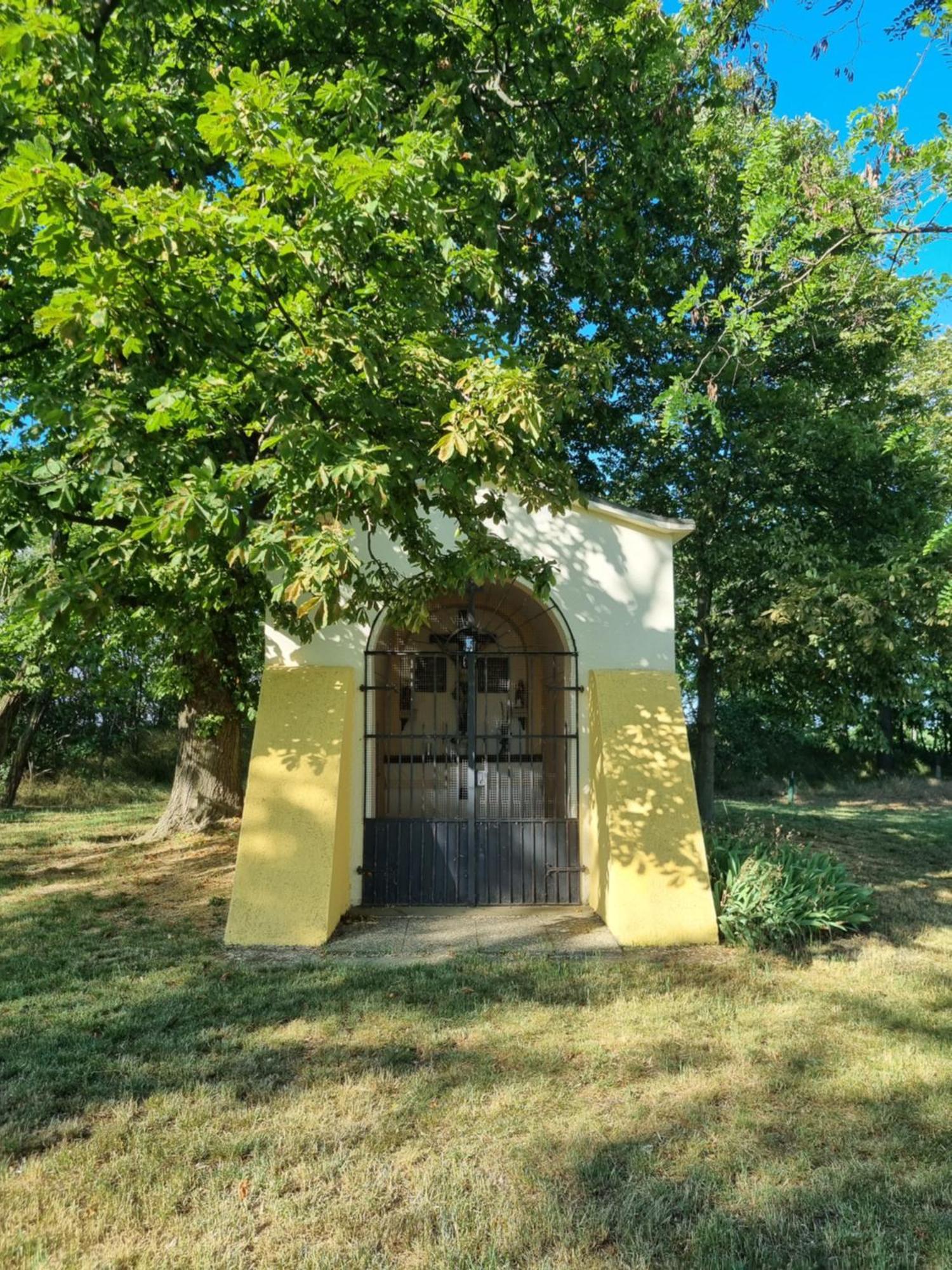 Birkenhof Gols - B & B - Wohlfuehl Hotel Mit Wochenend-Restaurant Luaran gambar